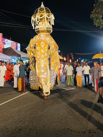 Dambadeniya Esala Perahera